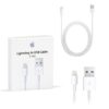 Apple Original USB to Lightning Cable (1m)